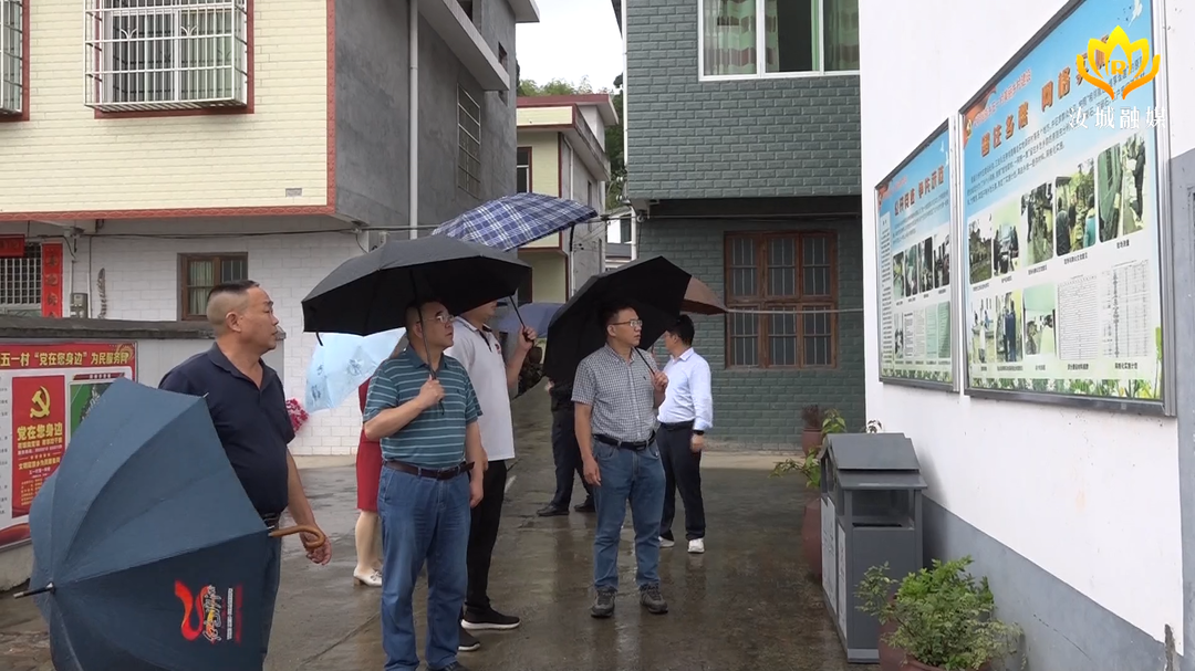 株洲市人大来汝调研农村人居环境整治提升工作