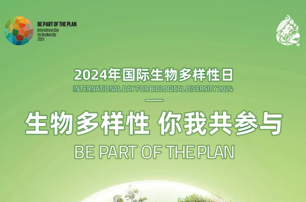 官宣！国际生物多样性日主题海报发布