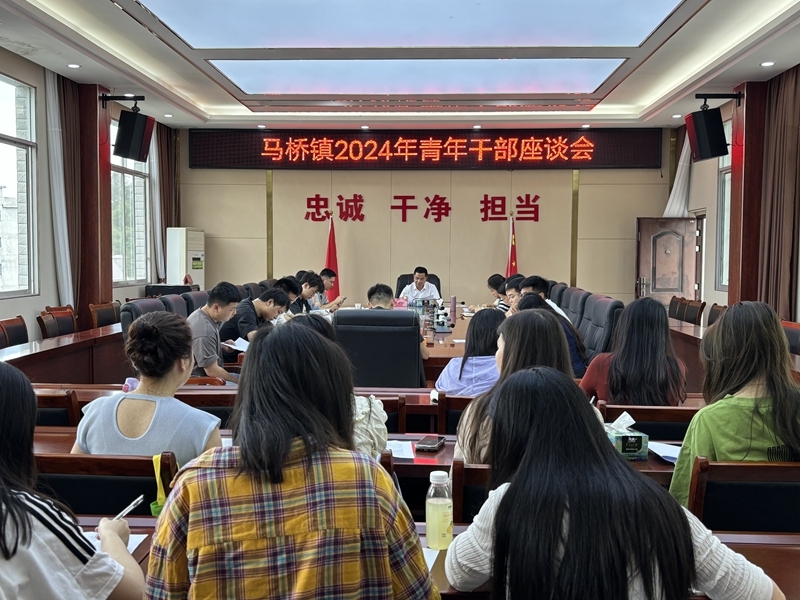 马桥镇召开2024年青年干部座谈会