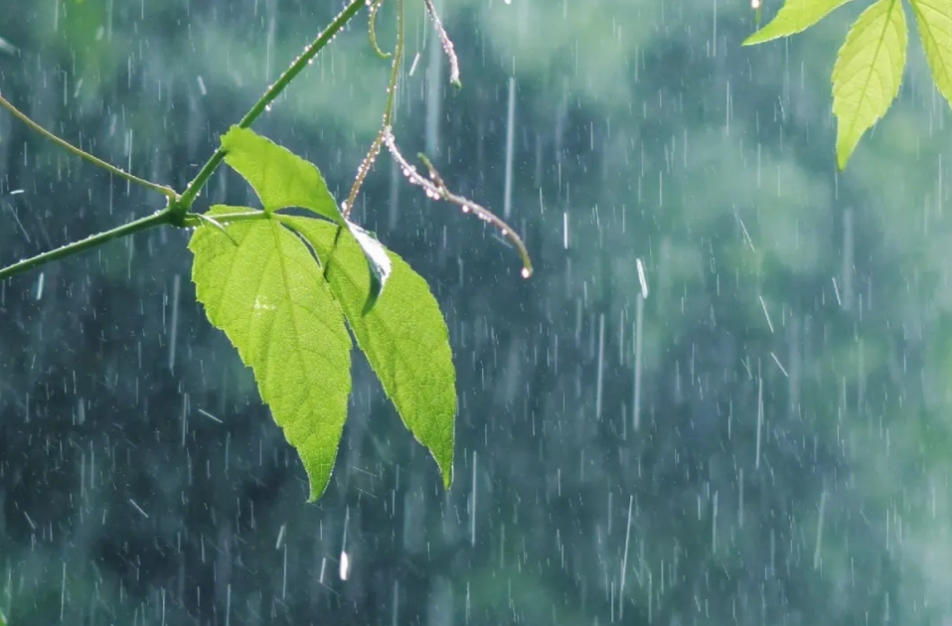 湖南暴雨！马上到！