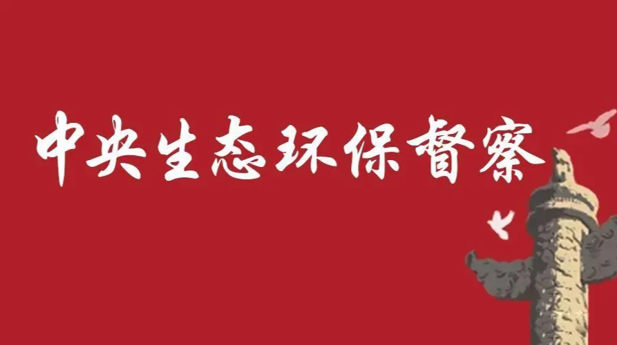 群众信访举报转办和边督边改情况公开（第二十一批）