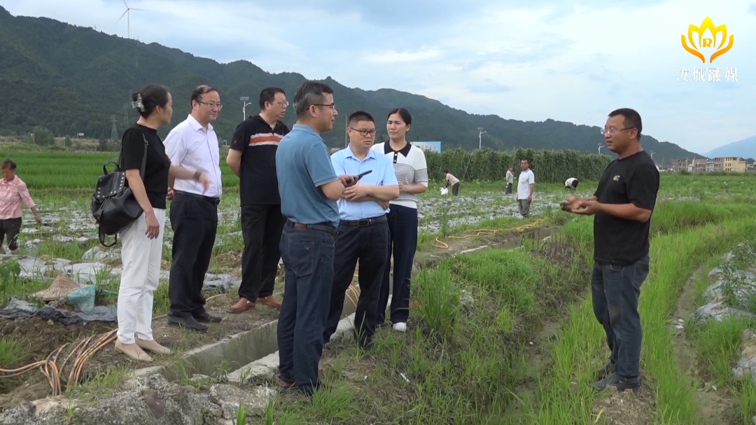 省防汛抗灾专项督导组来我县督导防汛抗灾工作