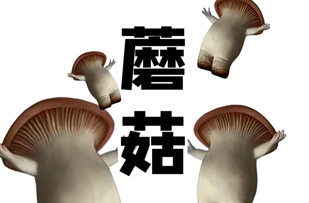 蘑菇，我有“四不吃”