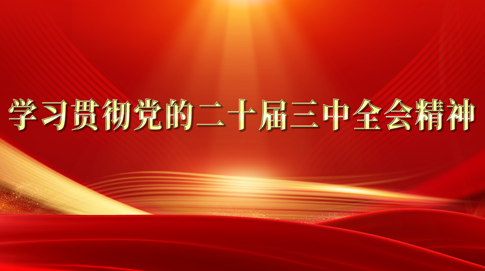 学习贯彻党的二十届三中全会精神