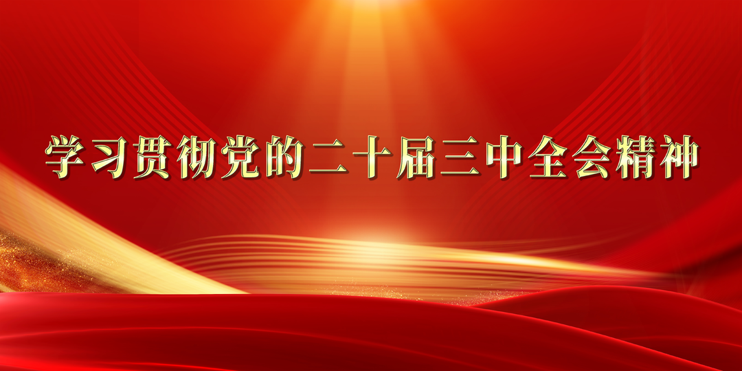 学习贯彻党的二十届三中全会精神