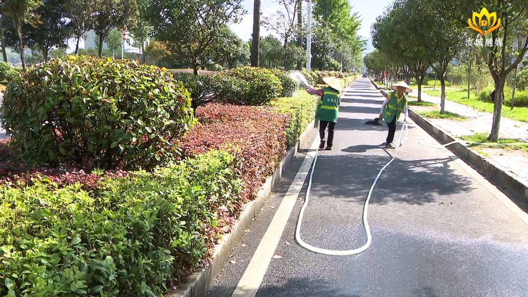 县园林绿化服务中心：开展抗旱保绿行动 保障绿化苗木健康生长