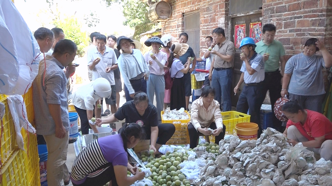 我县举办奈李预防褐化技术培训暨现场观摩会