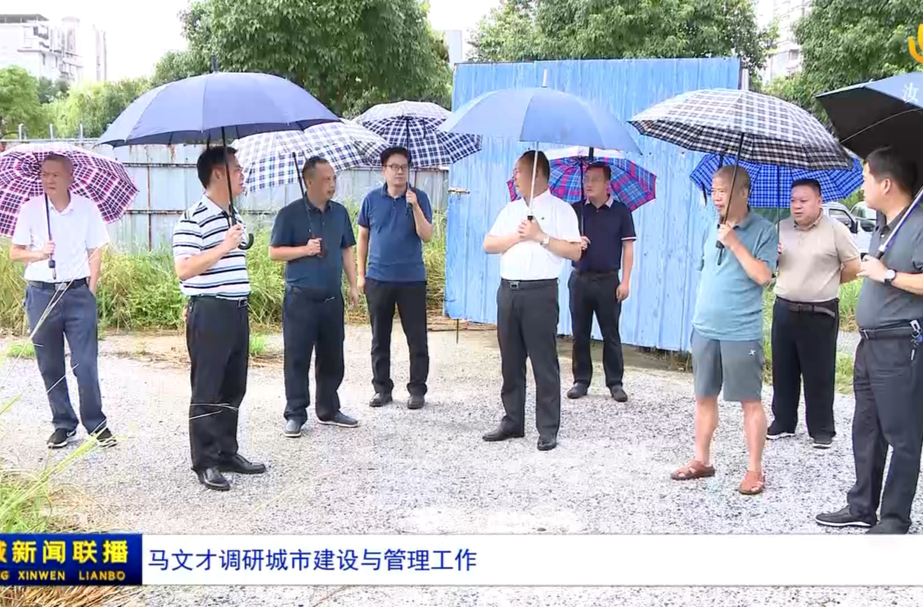 马文才调研城市建设与管理工作