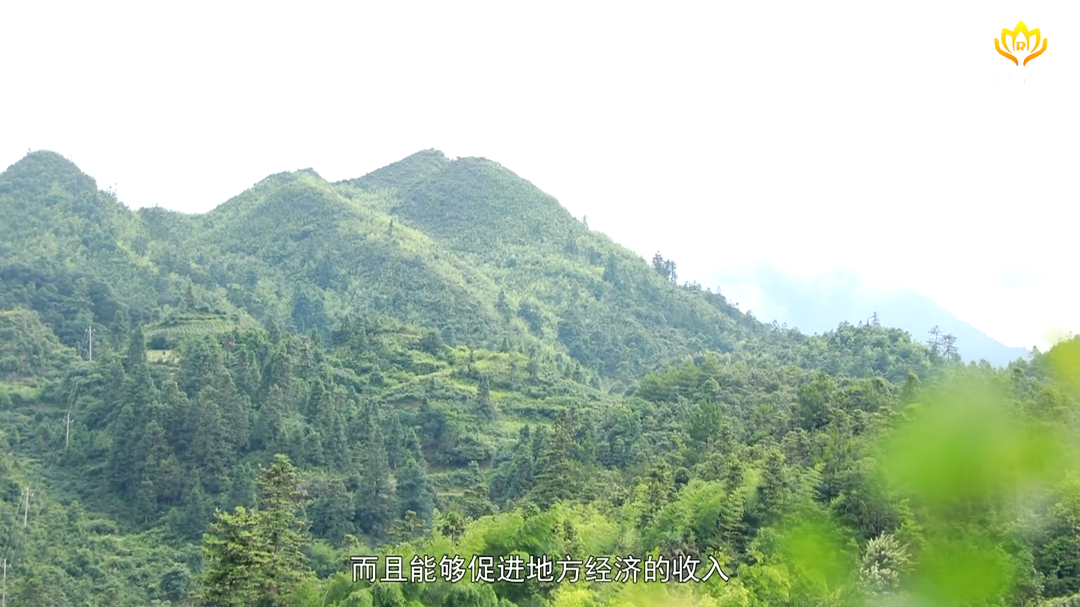 “万企兴万村”   谱写乡村振兴新篇章