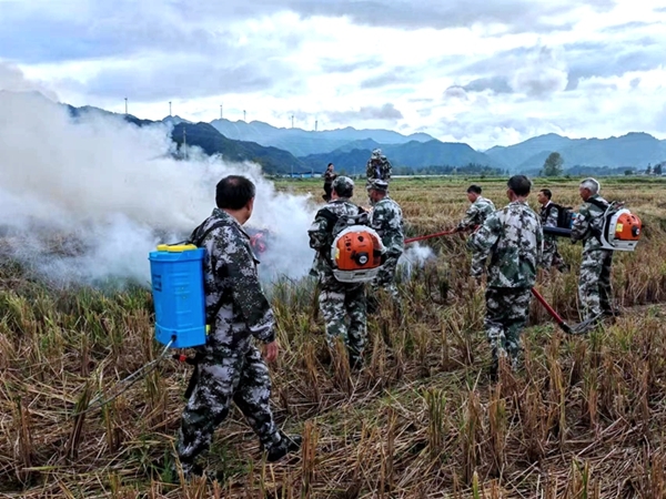 泉水镇：举行森防应急大演练 提升防灭火救援能力