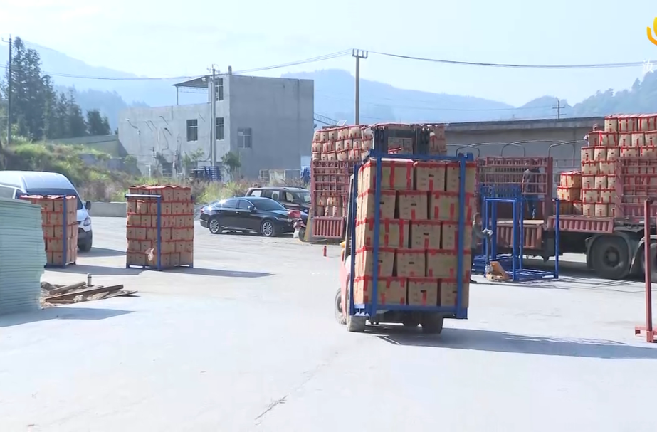 【做强“三大引擎” 加速汝城发展】马桥镇：冷链中心为小黄姜产业发展提供强大助力