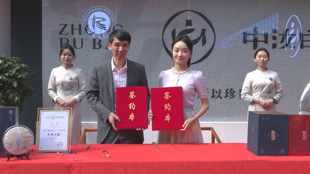 签约形象大使 打造白毛茶品牌