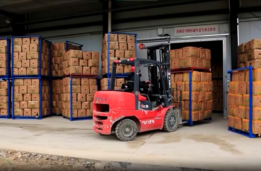 【做强“三大引擎” 加速汝城发展】打造小黄姜全产业链 辐射全国生姜批发市场