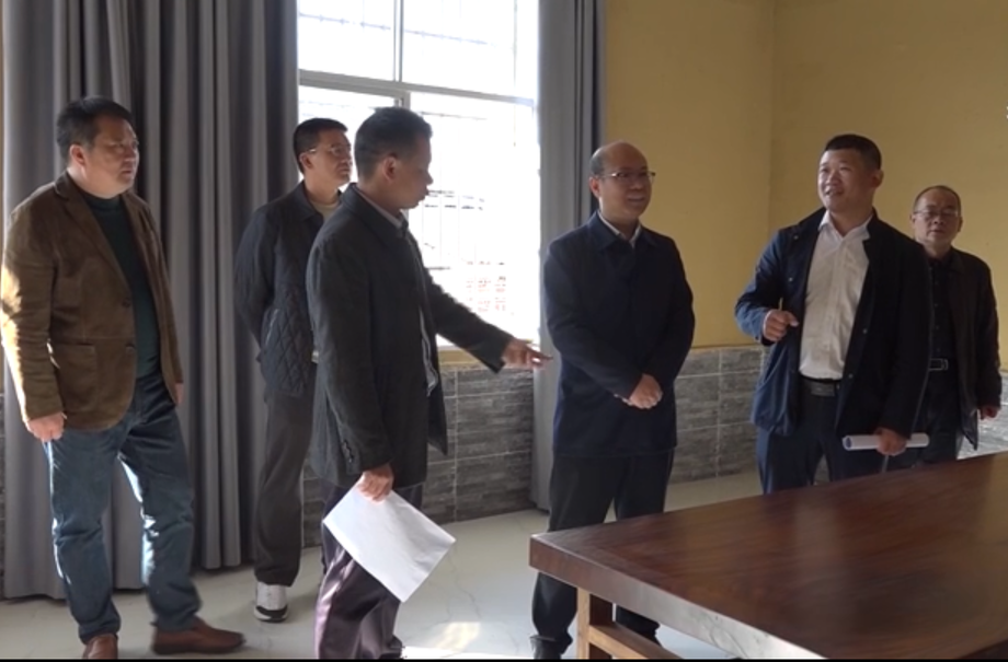 文建军到大坪镇开展人大代表进站履职和调研乡村振兴等工作