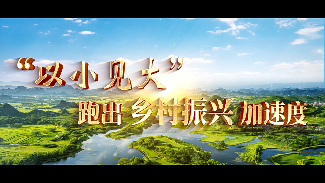 “以小见大”跑出乡村振兴加速度