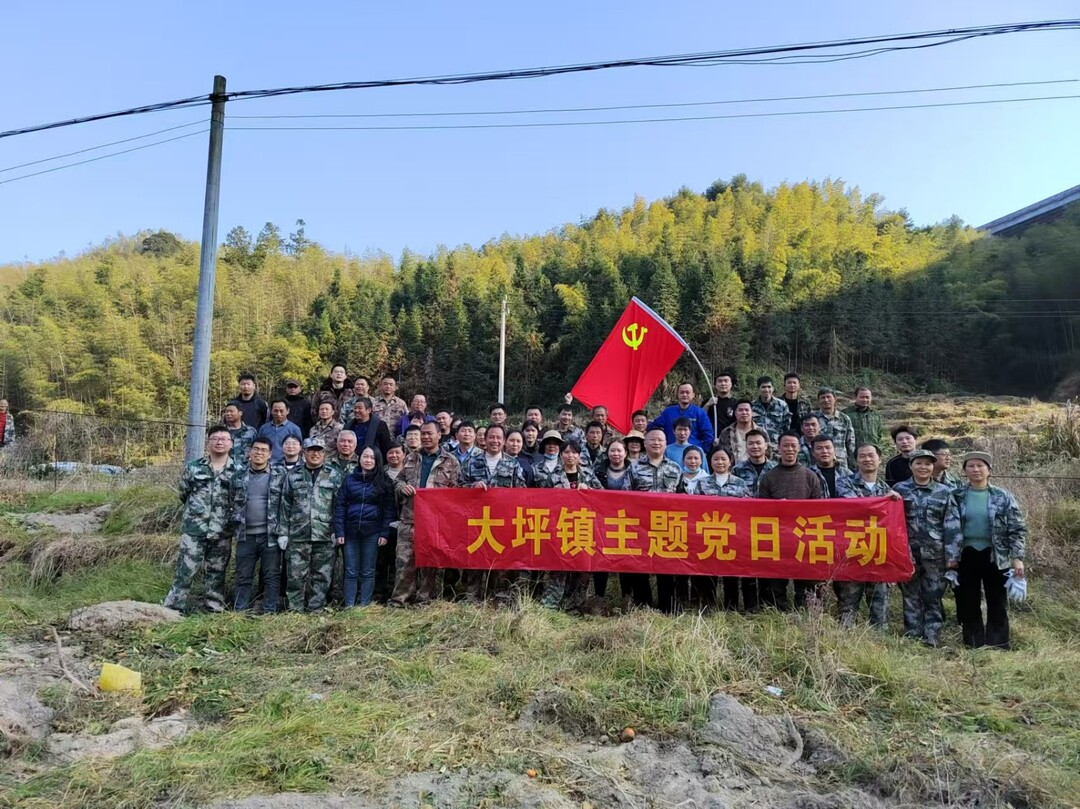 大坪镇：党日活动践初心 助农解困暖民心