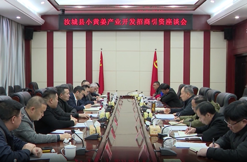 我县小黄姜全产业链受研发单位和客商青睐