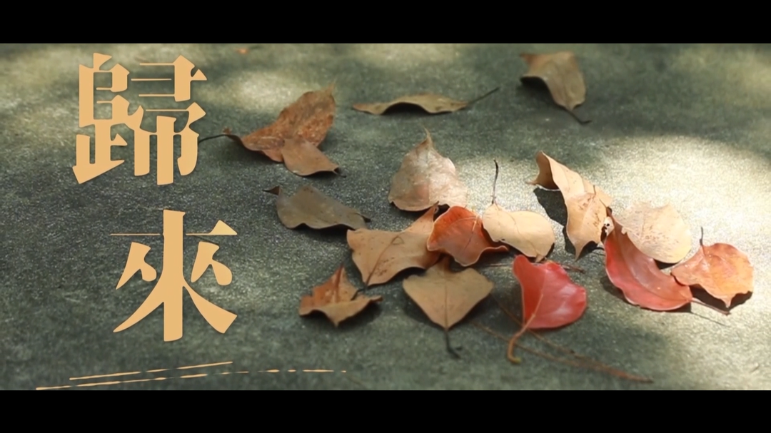 归来
