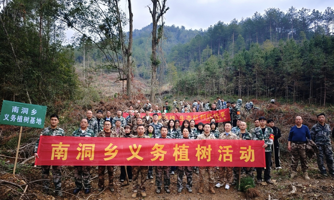 南洞乡：为绿水青山充“植”
