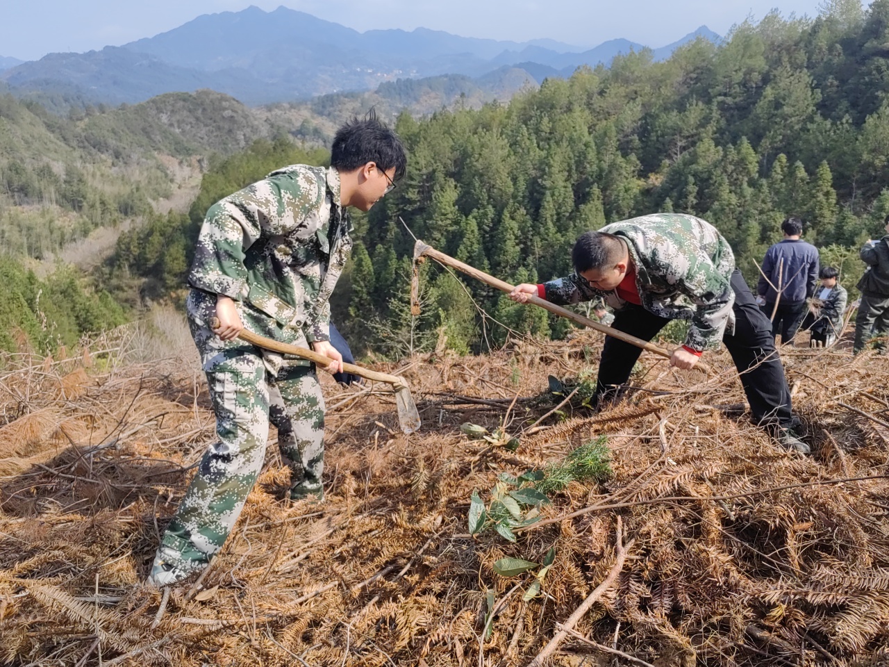 延寿瑶族乡：义务植树 绿满青山