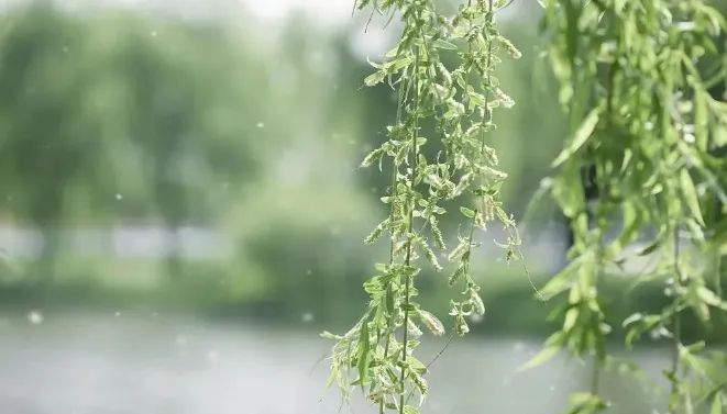 近期高发！别硬扛！出现这些症状要小心→