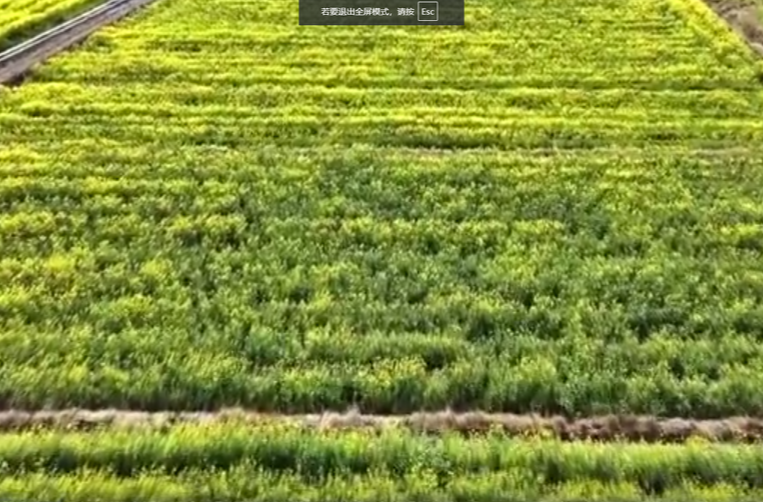 瞭望·第一学习｜传承发展中华优秀传统生态文化
