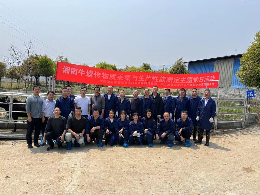 支部联动聚合力 业务融合促发展