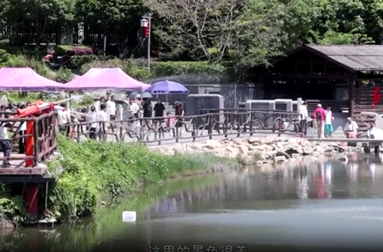 温泉旅游热 游客尽享惬意时光
