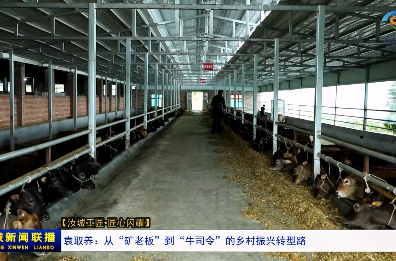 【汝城工匠•匠心闪耀】袁取养：从“矿老板”到“牛司令”的乡村振兴转型路