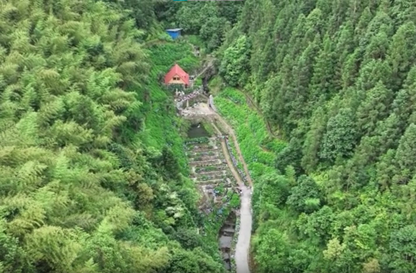 从“无名山谷”到“网红打卡地” 汝城花溪谷绣球花惊艳绽放