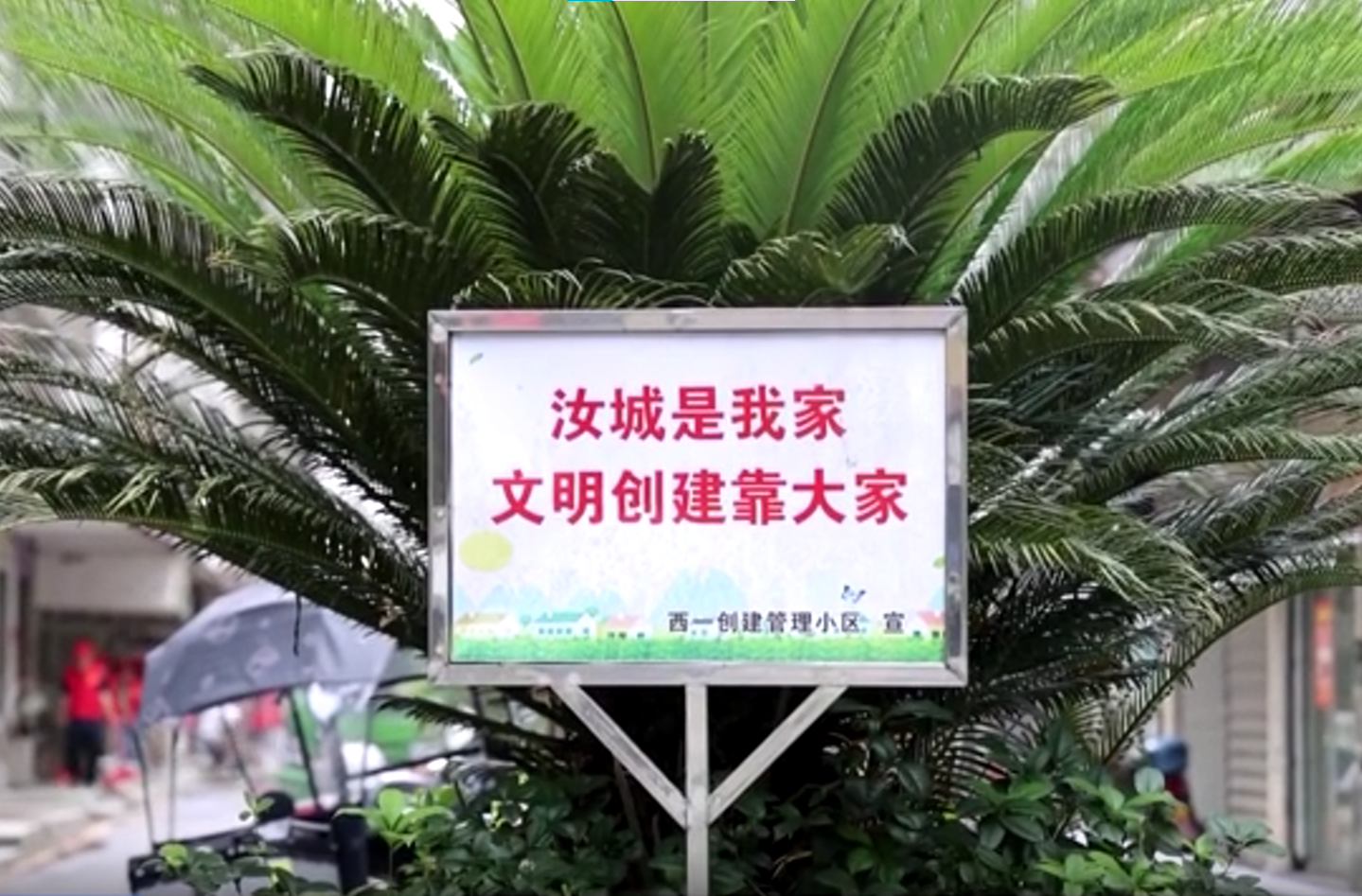 我县集中整治小区环境秩序 提升居民宜居品质