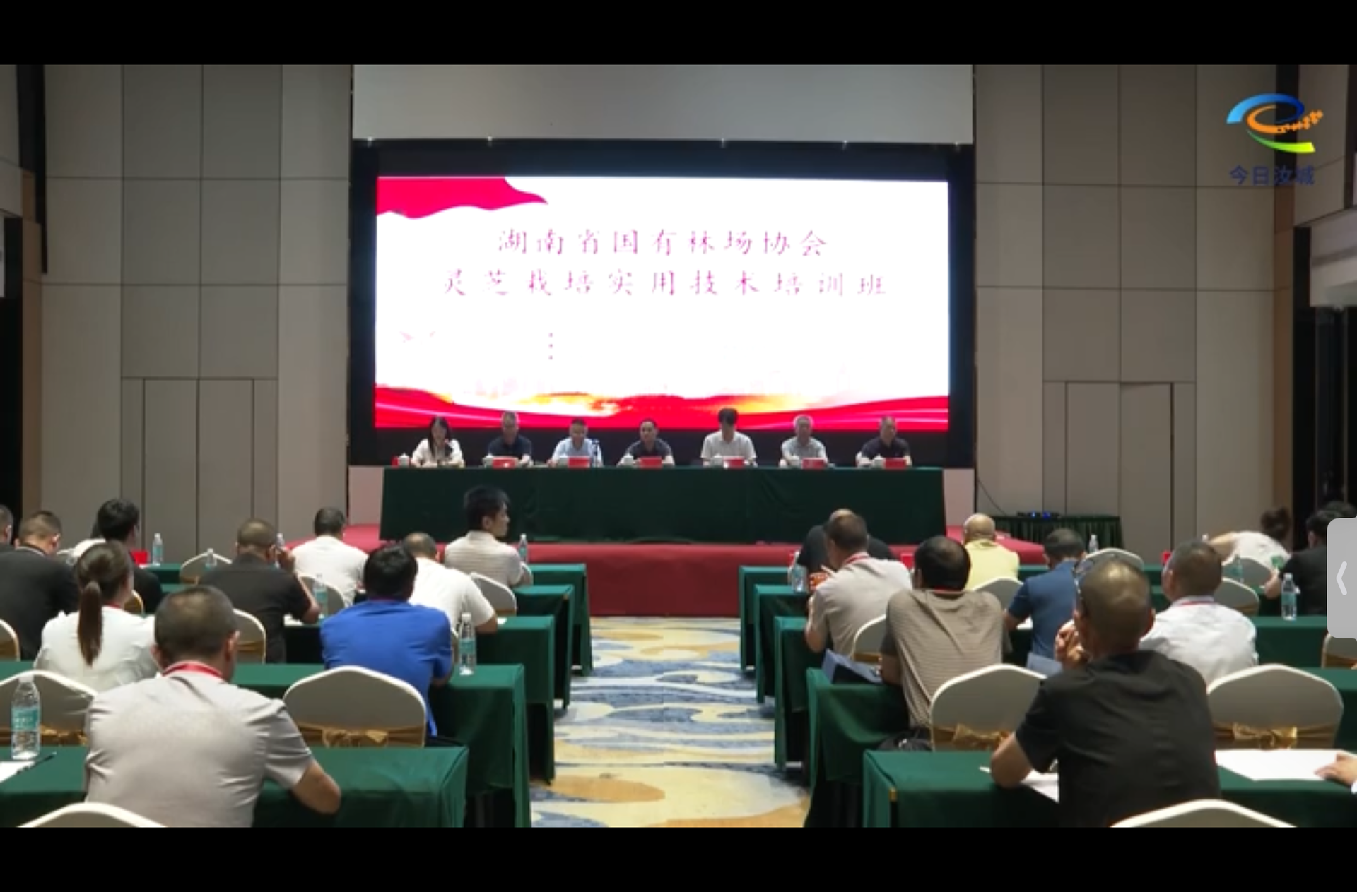 聚焦“林下经济”新模式   共探绿色发展新路径