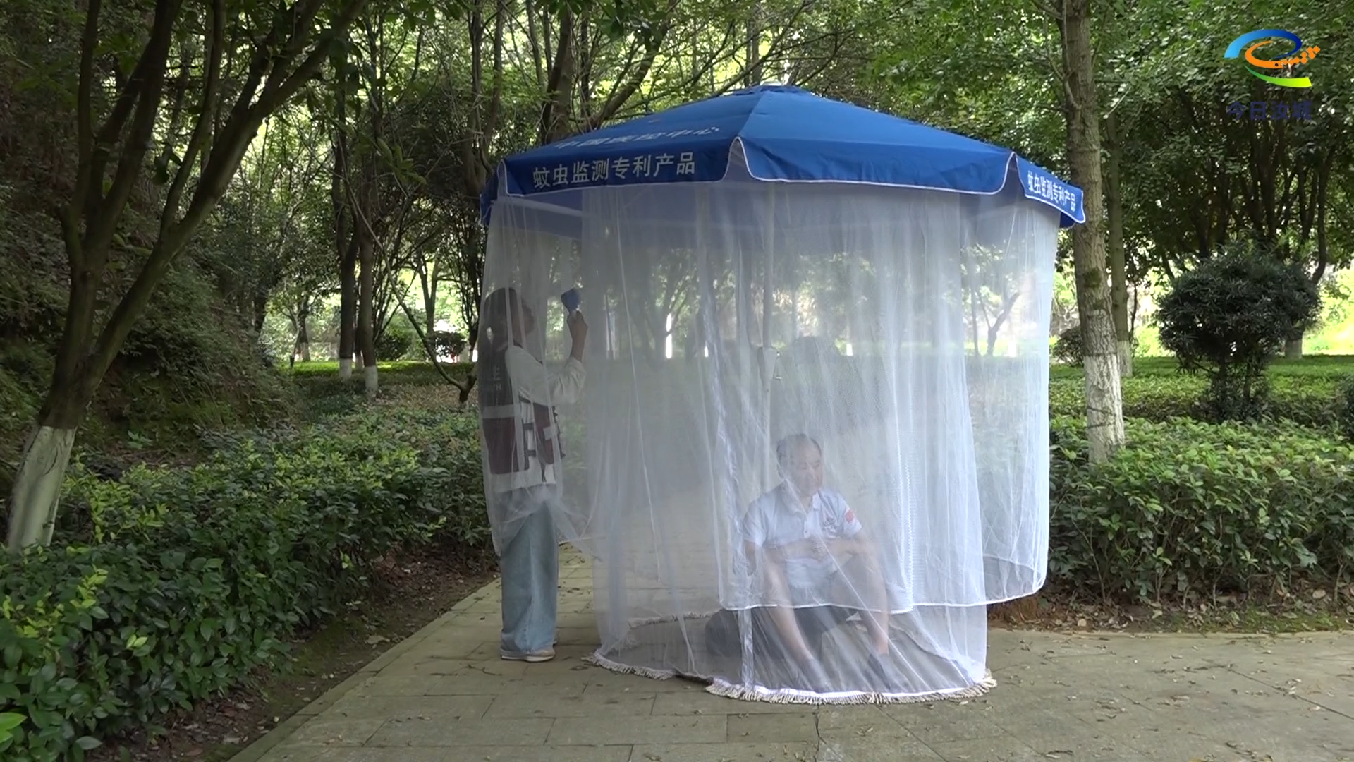 我县开展灭蚊消杀行动 筑牢群众健康防线