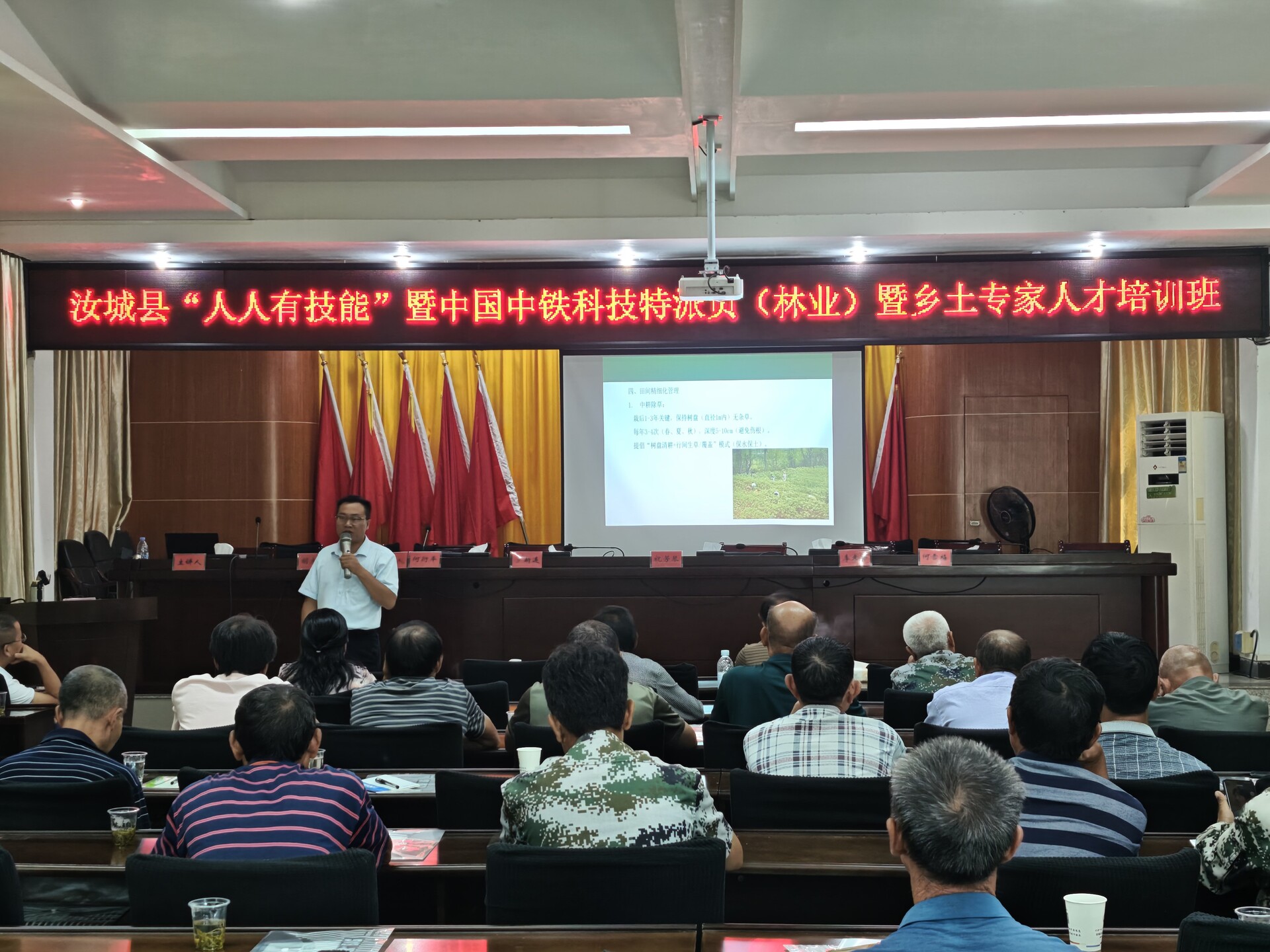 汝城南洞乡：科技赋能林业，助力乡村振兴