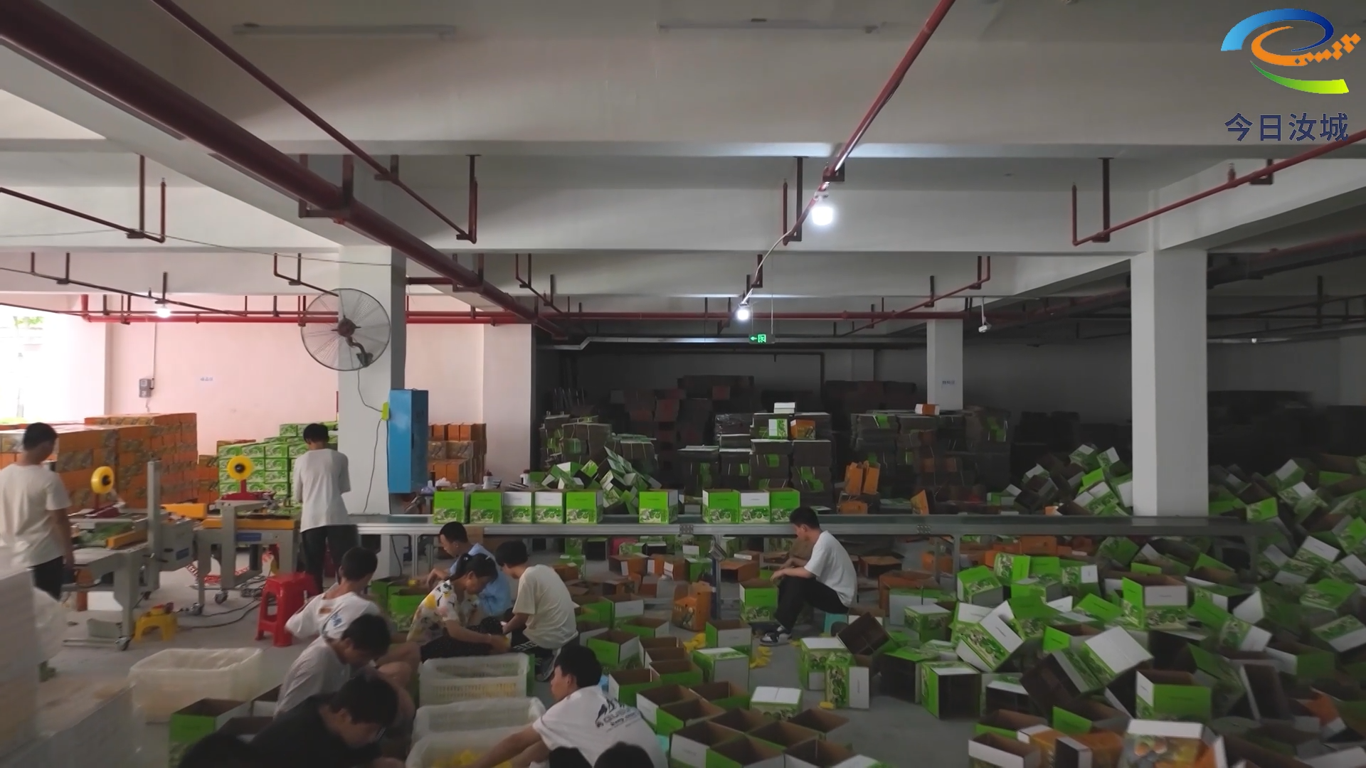 红色土地   崭新答卷|特色水果搭上电商快车   家门口就业捧上致富“金饭碗”
