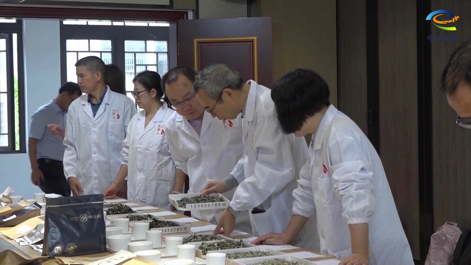 汝城白毛茶产品专家品鉴活动圆满举行