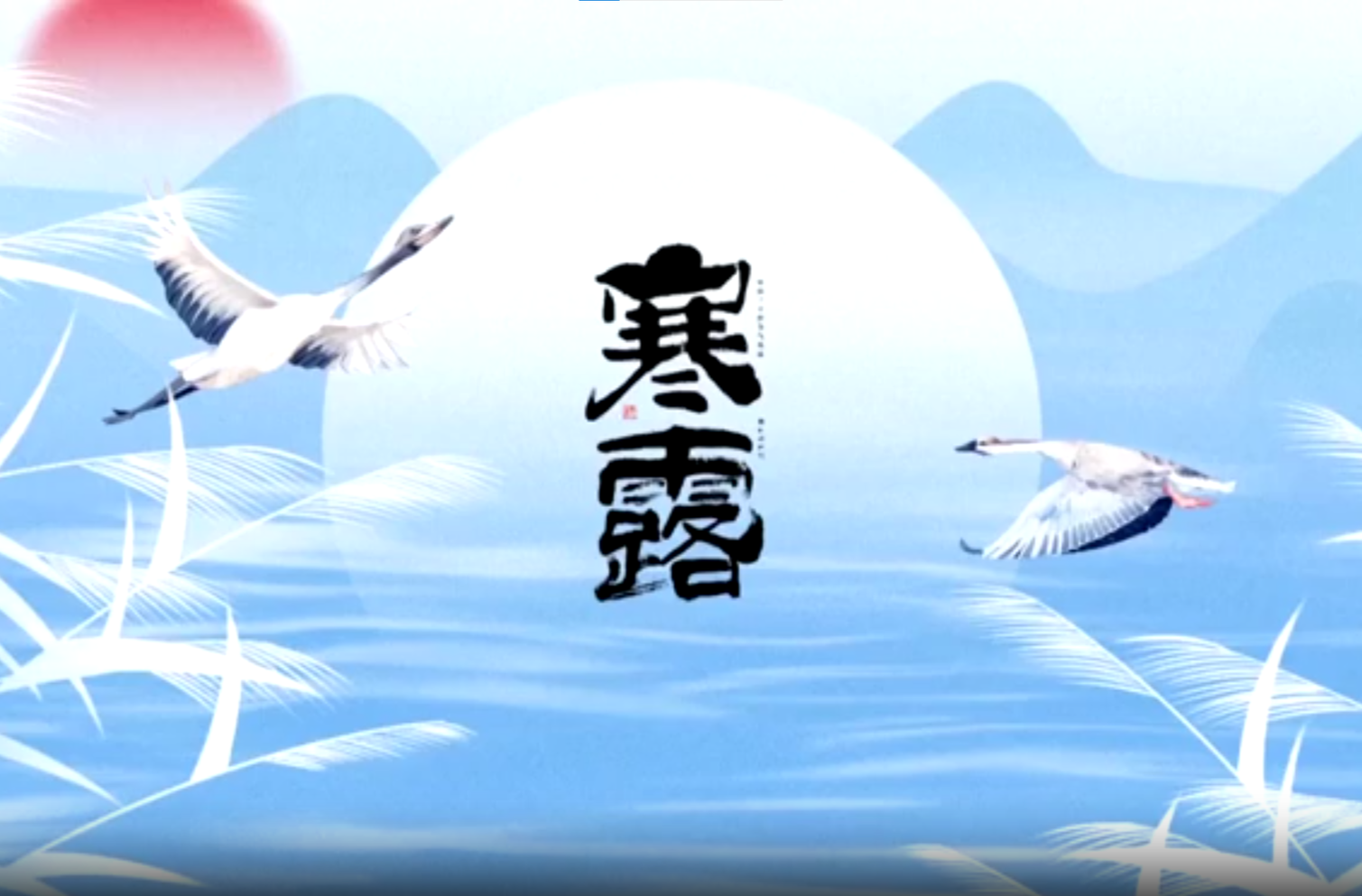 今日寒露