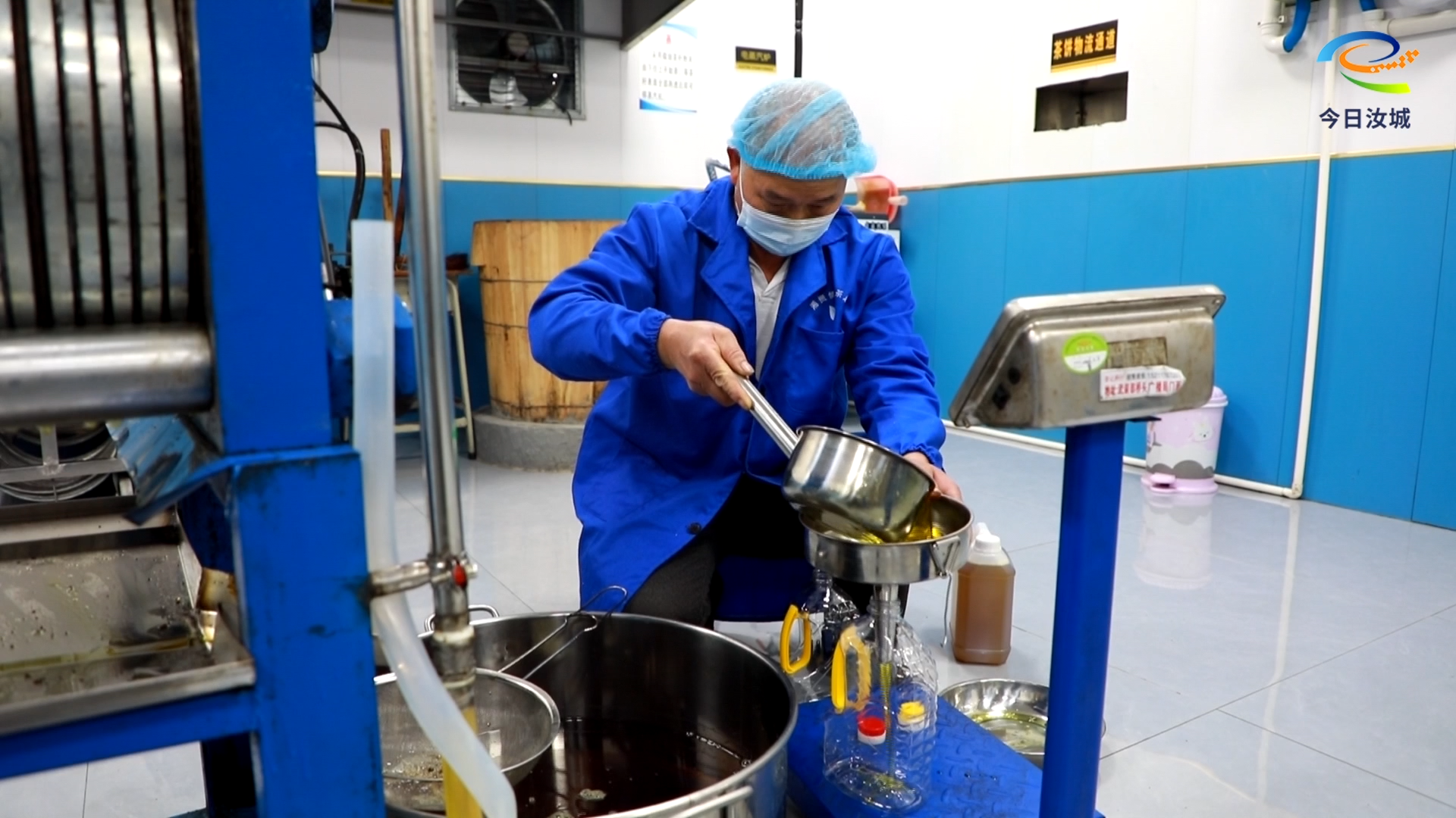 汝城茶油飘香 产销两旺富乡邻