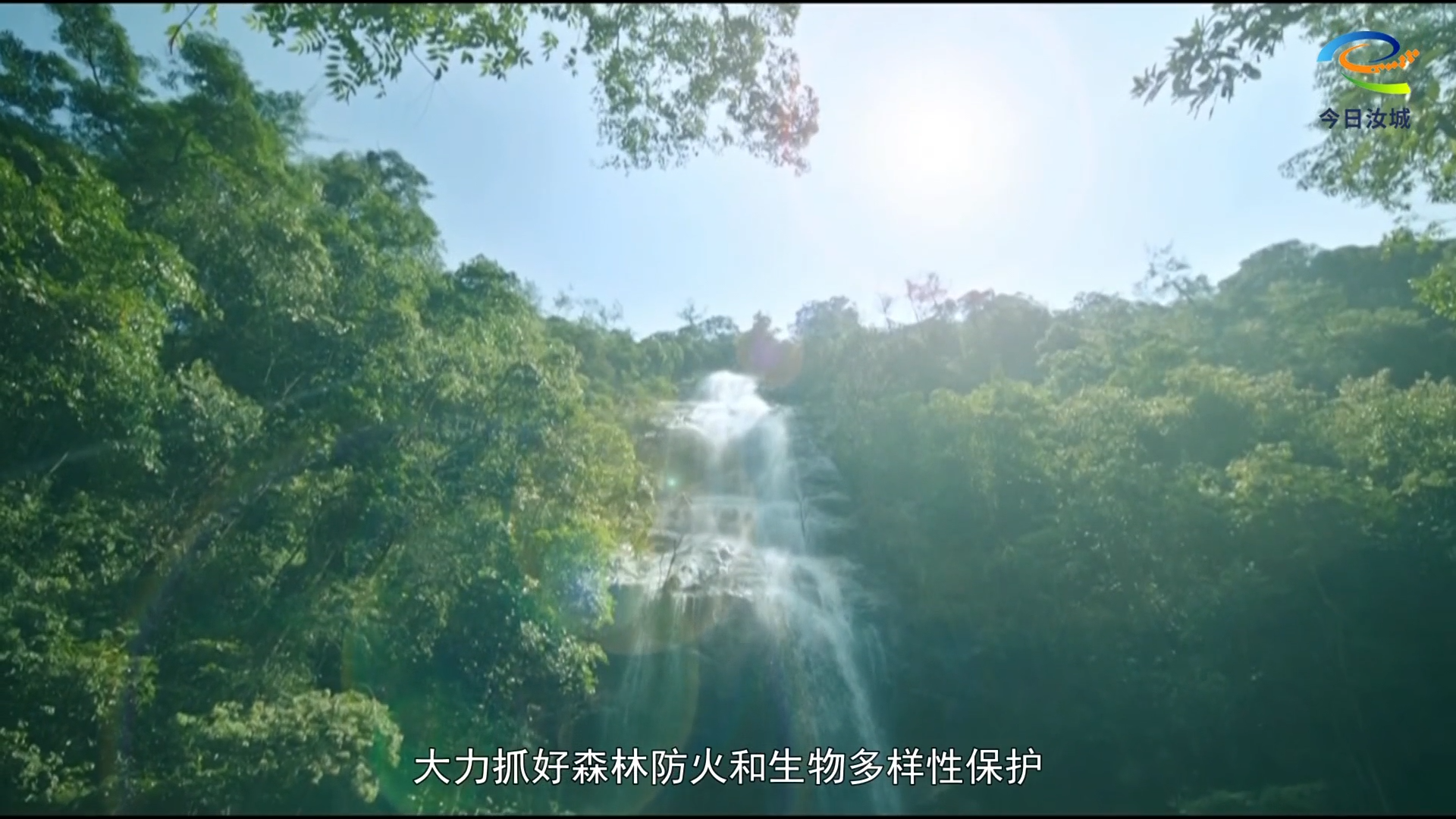 蓝图绘到底 同心开新局 贯彻落实县委经济工作会议精神（五）