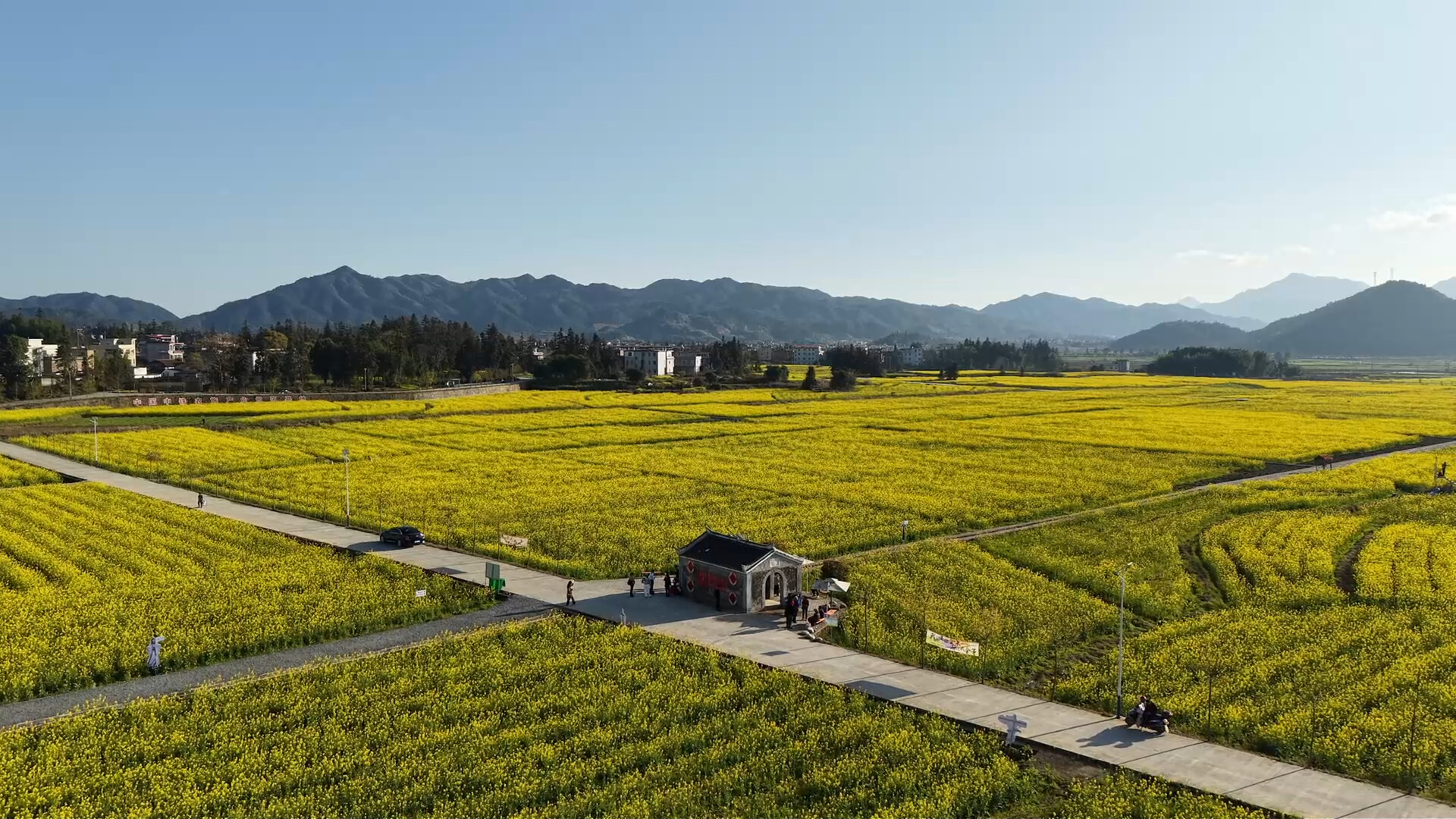 汝城大坪铁炉江畔：千亩花海内春日放歌清肺、清嗓、清心更清脑