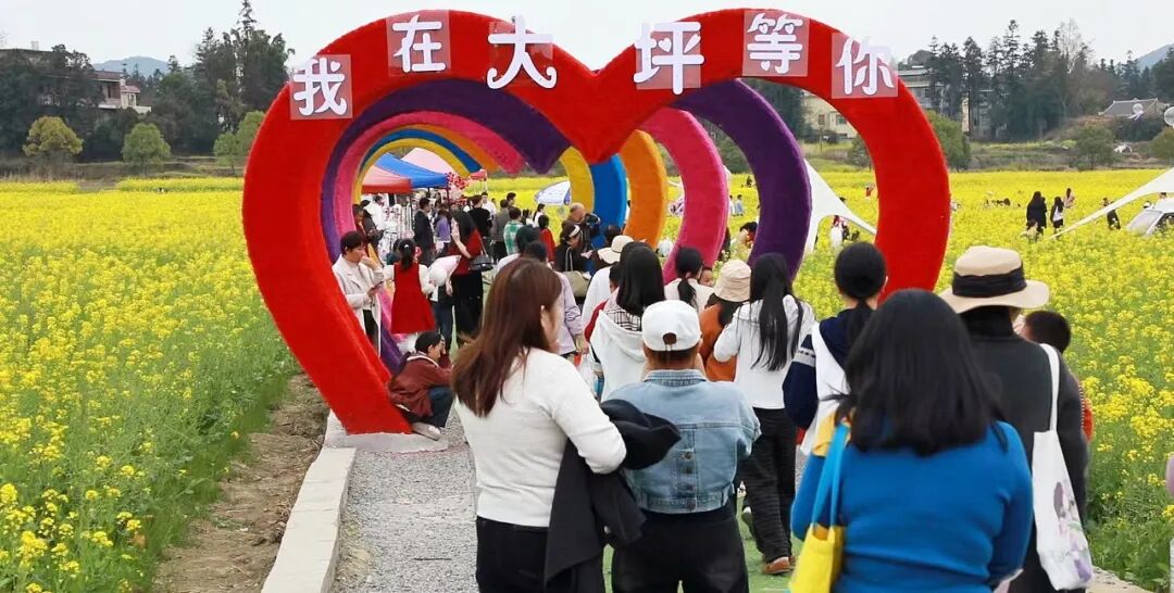 藏不住了！汝城大坪千亩花海盛放，乐队+集市+打卡点，承包你的春日浪漫