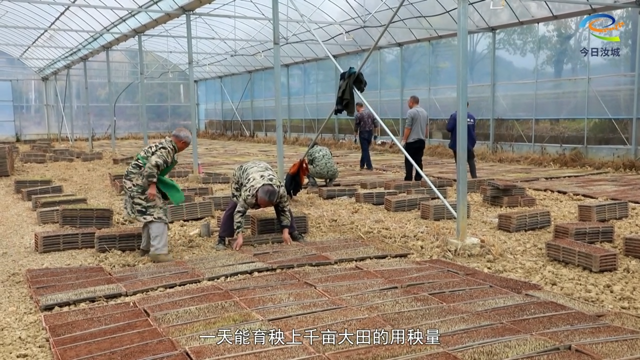 汝城：春耕育秧“摆盘”忙 科技助农绘“丰”景