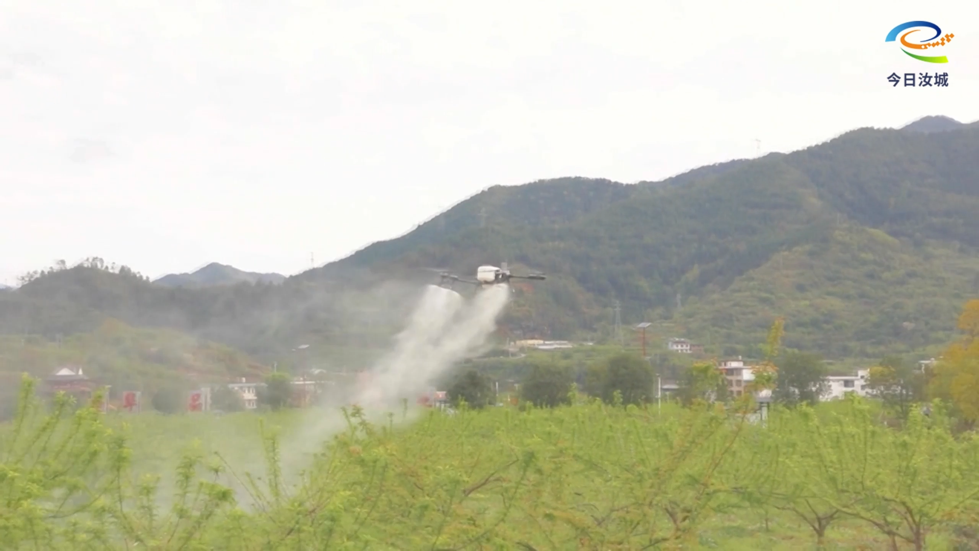 春耕新景：指尖轻点 解锁田间新质生产力