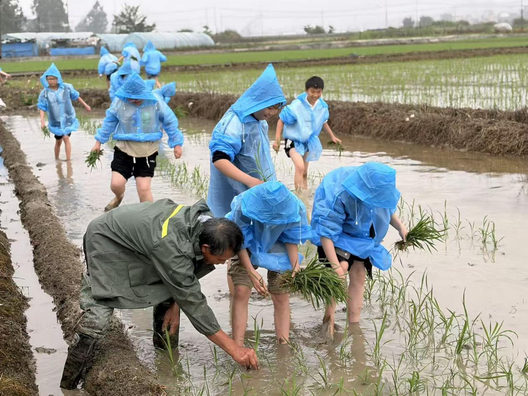 泉水镇：劳动实践赋能学生全面成长