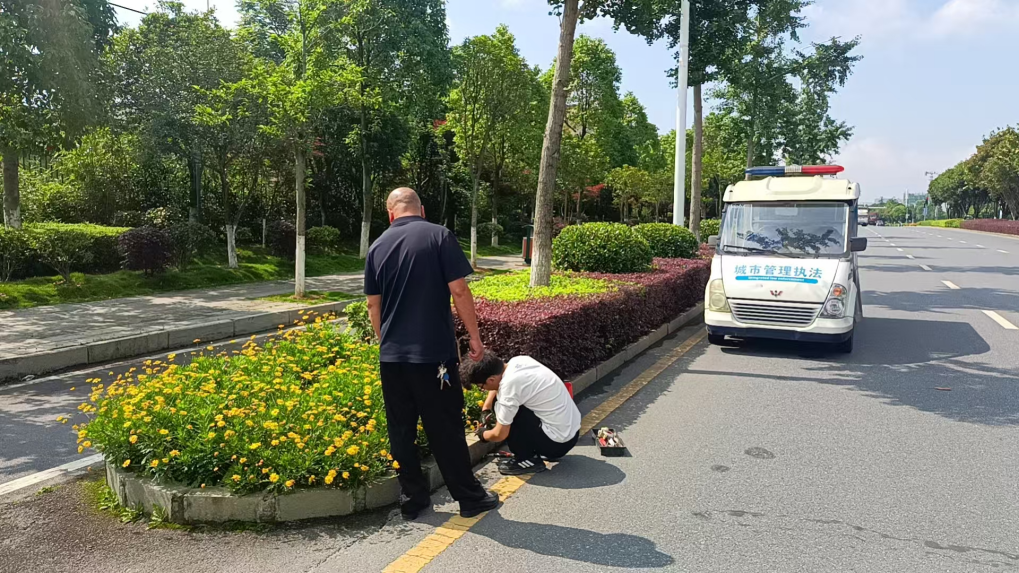 迅速处置路灯故障 切实办好民生实事