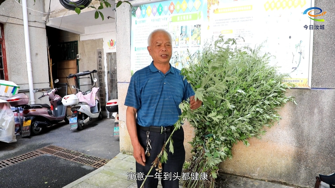 艾草飘香迎端午