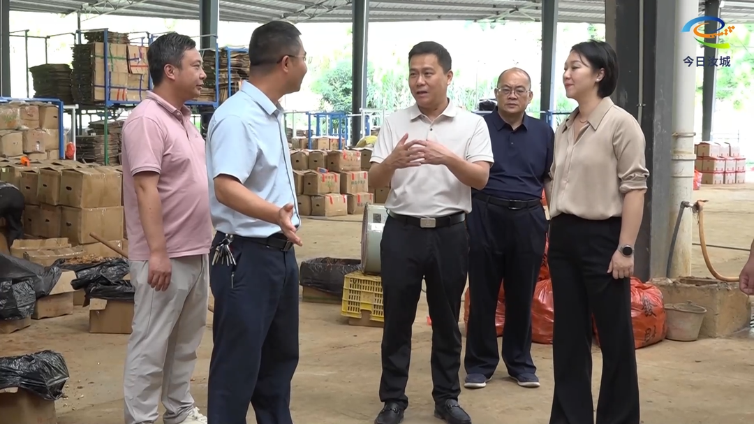 招大引强   强链聚群 全力推动绿色建材和小黄姜产业高质量发展