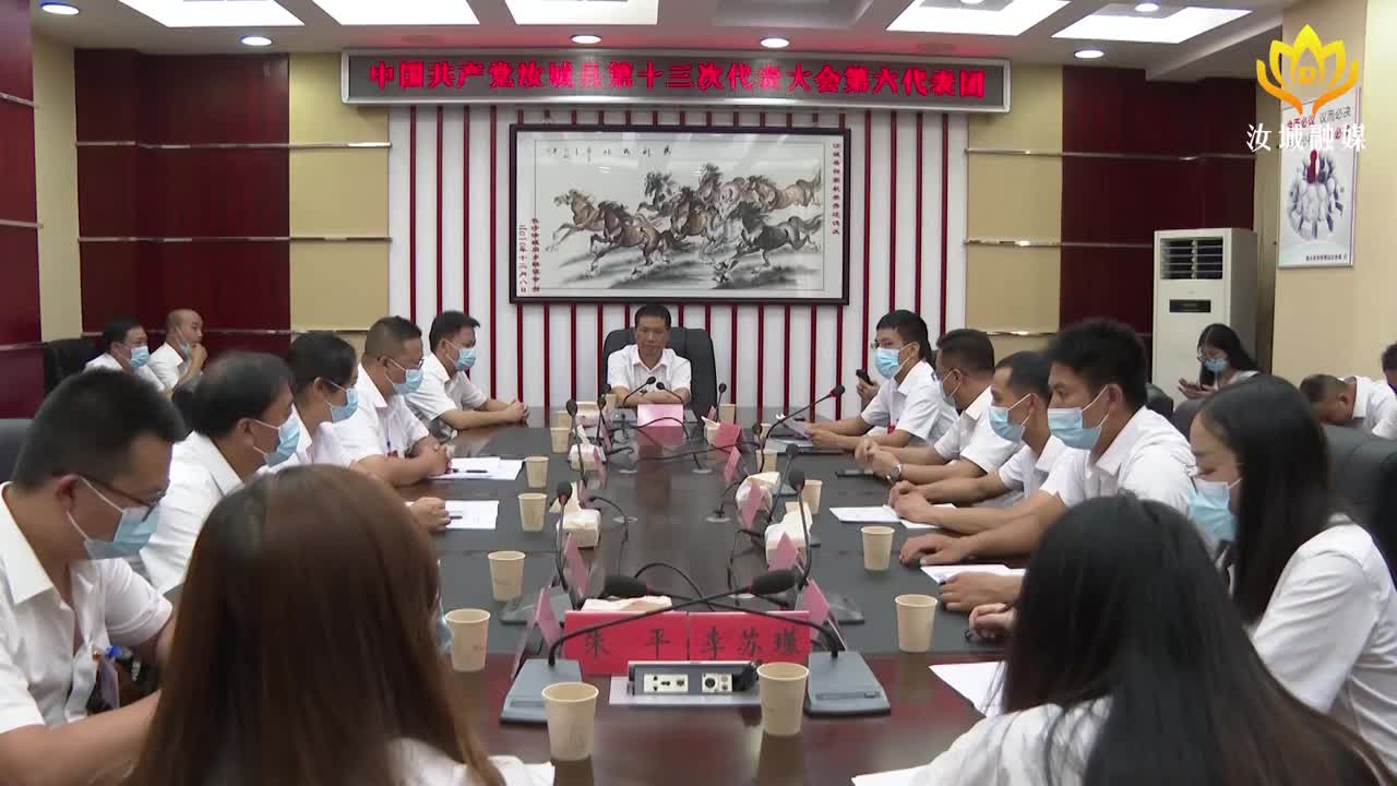 县第十三次党代会各代表团召开第五次会议