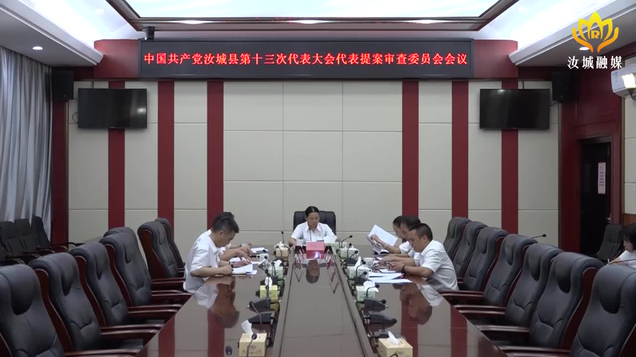 县第十三次党代会代表提案审查委员会会议