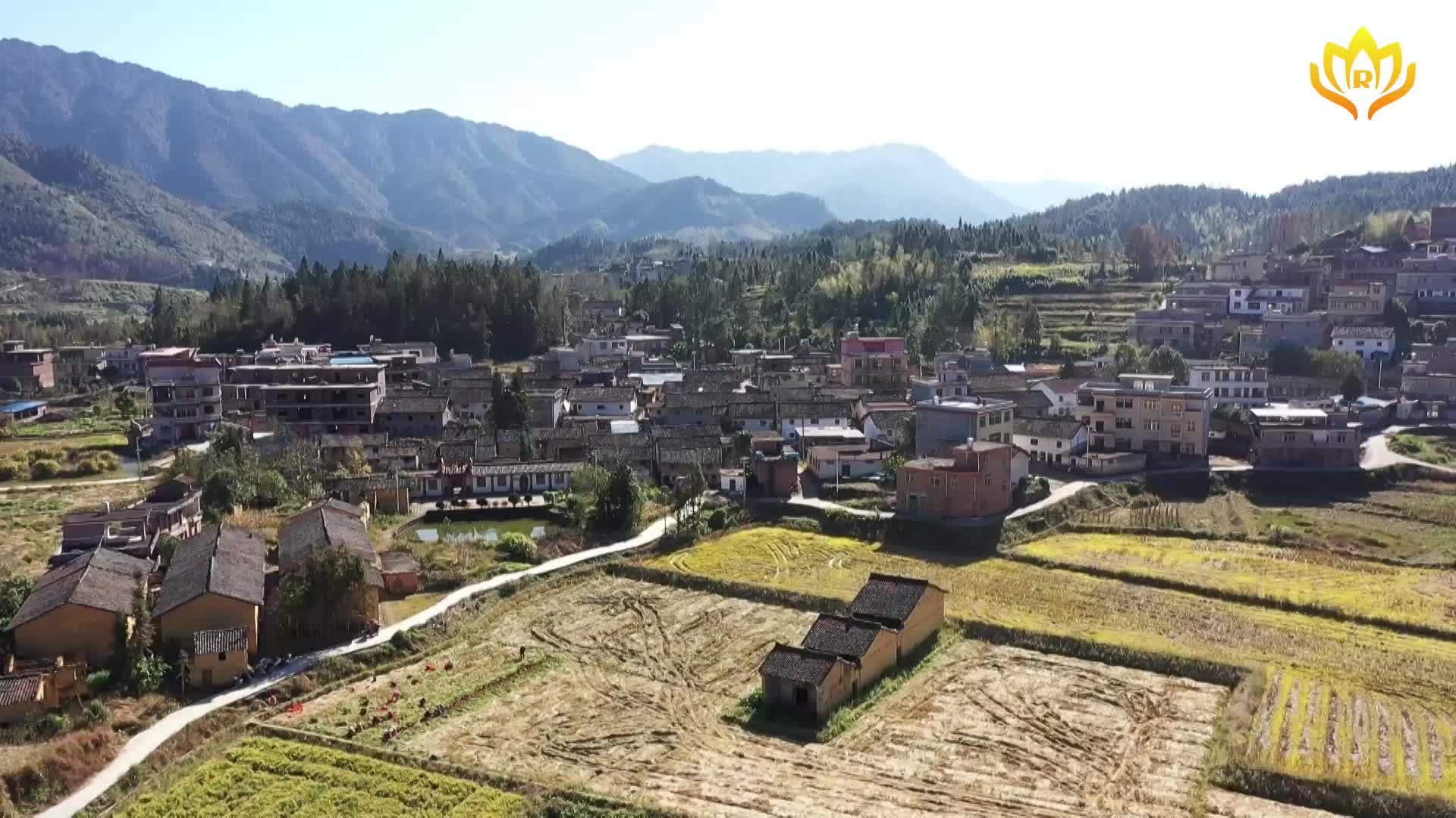 濠头乡上河村：环境改造“增颜值”  乡村振兴“不降温”